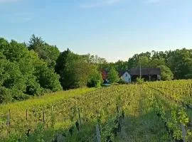 Gîte au coeur d'un vignoble