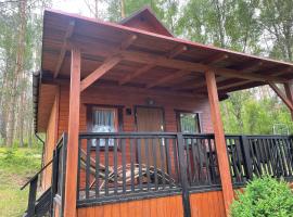 Domki Letniskowe Nad Jeziorem Kazub，位于Cieciorka的酒店