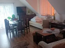 Dom Wakacyjny Gajówka z ogrodem