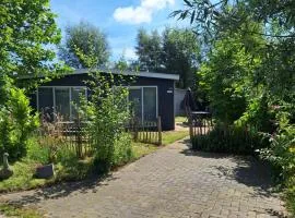 The Bright Side Brabant