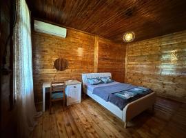 Kutaisi airport guesthouse