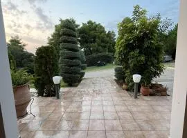 Golden View Apartment 1