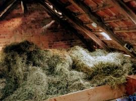 Bett im Heu auf Bauernhof Free Wifi，位于Hausbreitenbach的酒店