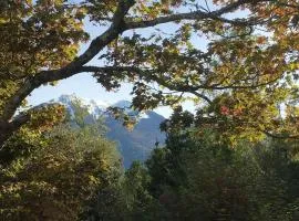 Lérable pourpre de la grotte au lion