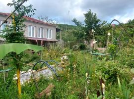 Guest House David，位于Gumbra的酒店