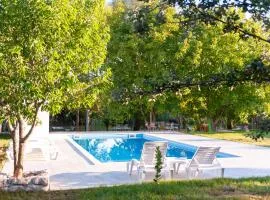 Holiday Homes Fig
