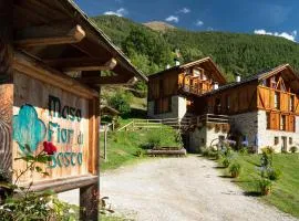 Maso Fior di Bosco - Val di Rabbi - Esercizio Rurale