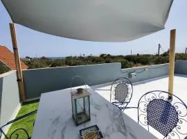 Olive tree house
