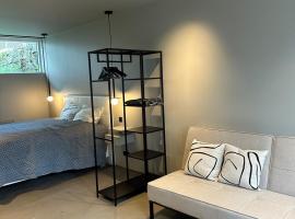 Studio apartment in central Reykjavik，位于雷克雅未克的酒店