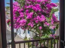 The Bougainvillea