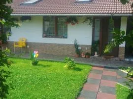 Casa de vacanță la munte Sâmbăta de sus