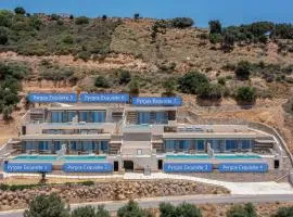 Pyrgos Exquisite villas