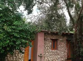 Las cuatro estaciones