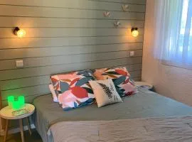 La Suite Unique - Le jardin sur les Pyrénées- vue panoramique montagne -jardin clôturé privé de 100m2-Parking-Linge de lit et serviettes compris-