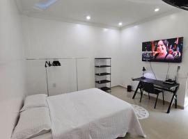 Apartamento Premium，位于帕林廷斯的酒店