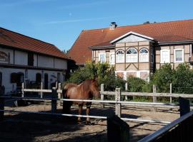 费恩汉努旅馆，位于Hanum的酒店