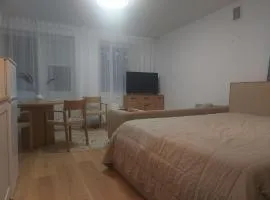 Apartamentai Pušelė