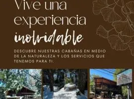 Cabañas Termas de Chillán