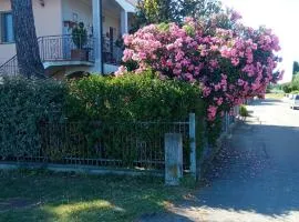 Casa Vintago b&b