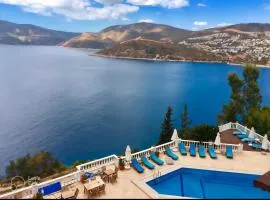 Amazing 2 bedroom penthouse!