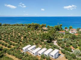 Olea Villas by halu!, Cozy villa in Nikiti，位于拉戈曼德拉的酒店