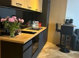 Business Apartment Płock