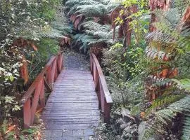 North Dunedin Woodland Sanctuary