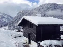 Chalet 6 pers à Châtel, proche centre et remontées, terrasse et équipements modernes - FR-1-676-135