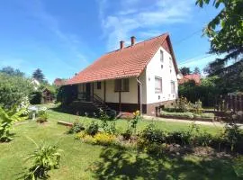 Holiday home in Agard - Velence-See 51093