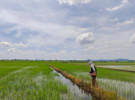 RumaKita Alor Setar Paddy View Netflix M0slim Only，位于阿罗士打的酒店