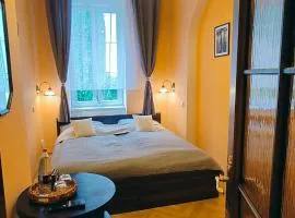 Apartment in Old Town City Center Karlovy Vary