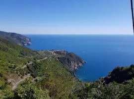 Menta Cinque Terre