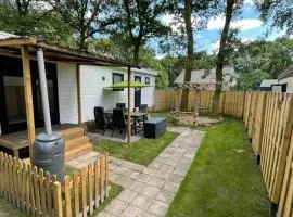 Chalet Vuurvlieg - Gelegen In bosrijkgebied van Drenthe - Rust en Natuur