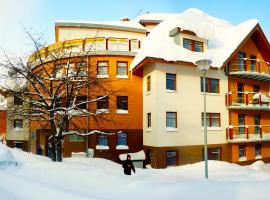 Apartmány Rokytka u sjezdovky，位于捷克布杰约维采的酒店