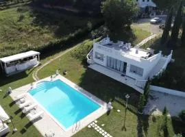 Homart optical swite