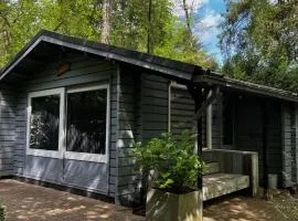 Dreamwoodz - een droomchalet op de Veluwe