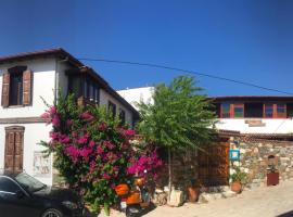 亚马逊小宫殿酒店，位于塞尔丘克的酒店