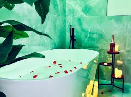 Luxurious Apartment - Seaside - Spa Bath - WiFi - AC，位于尼斯的酒店