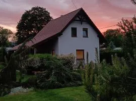 Pod klonem z Balią i Sauną