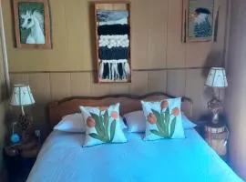 cabaña vista hermosa neltume