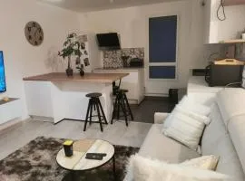 Appartement charmant à Viroflay avec terrasse & parking