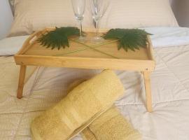 Muji Studio 2Pax Gym Jacuzzi near Setia City Mall NIH JSA，位于实达阿南的酒店