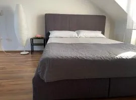 Geräumiges Komfort-Schlafzimmer im Zentrum von Kassel