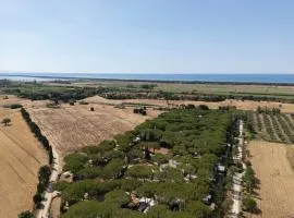 Costa D'Argento - Camping Village Club Capalbio