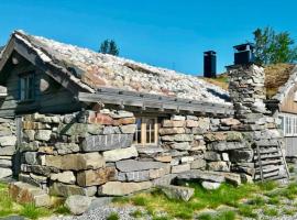 Rustic mountain cabin with modern interior，位于弗洛的酒店