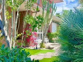 VILLA BRANDO EXCLUSIVE - 9 Guests, Bike Rental - Near Sabaudia & Pontine Beaches - Jubilee Ideal - Not a typical villa, it's truly a different experience