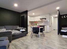 Apartamenty Parkowe nr 7，位于克维曾的酒店