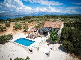 Family friendly house with a swimming pool Pucisca, Brac - 21499