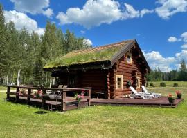 Päikseranna Holiday Centre，位于Nedsaja的酒店