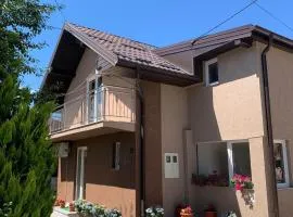 Home DINA